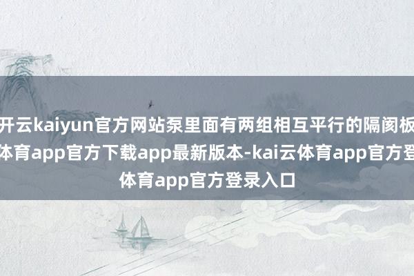 开云kaiyun官方网站泵里面有两组相互平行的隔阂板-kai云体育app官方下载app最新版本-kai云体育app官方登录入口